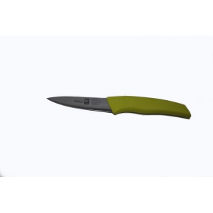 Фото Нож для овощей 100 мм зеленый I-Tech Icel, картинка, монтаж, сервис, доставка, сервисное обслуживание