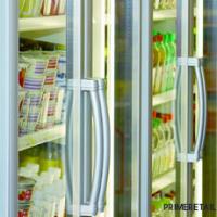 Стеклянный фронт Schott Termofrost S45-2