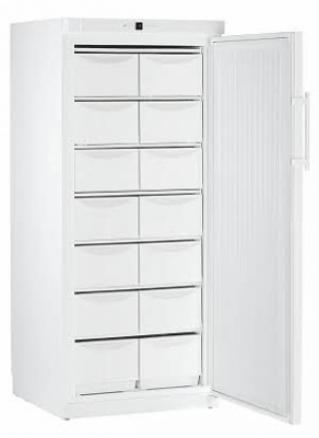 Фото Морозильный шкаф LIEBHERR G 5216, картинка, монтаж, сервис, доставка, сервисное обслуживание