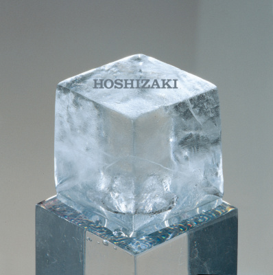 Фото Льдогенератор Hoshizaki IM65NE, картинка, монтаж, сервис, доставка, сервисное обслуживание